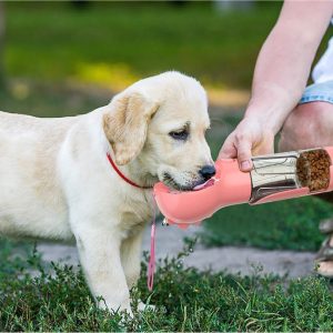 3-in-1 pet water bottle