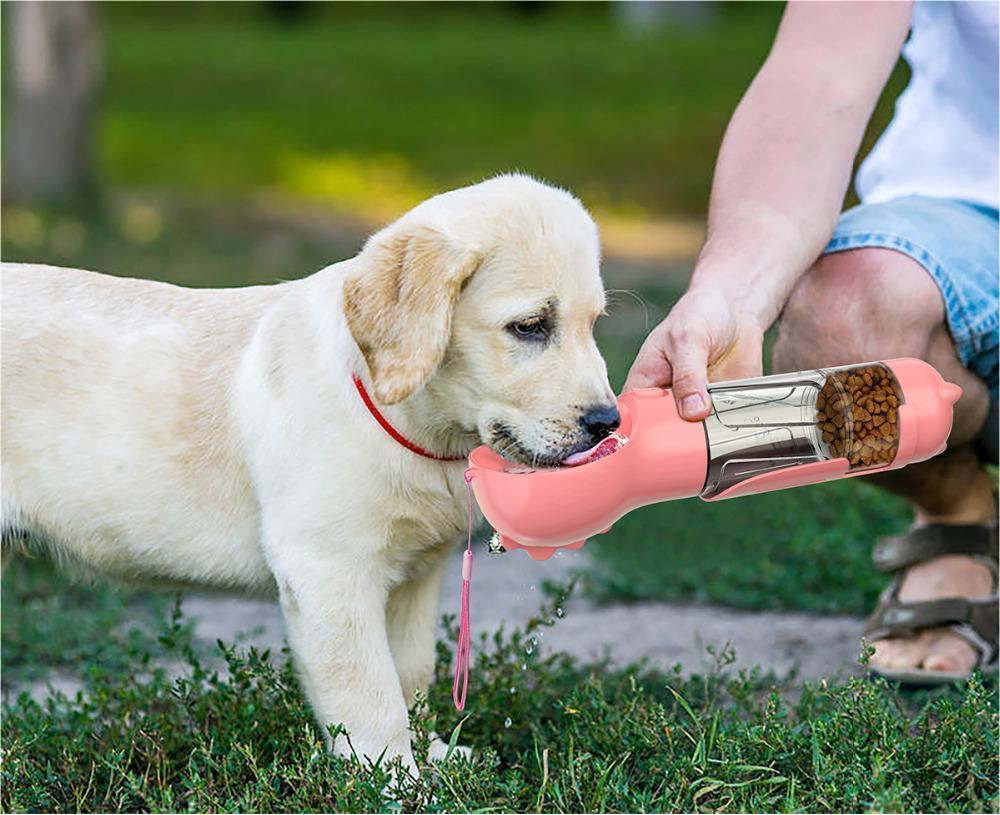 3-in-1 pet water bottle